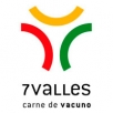 7 Valles
